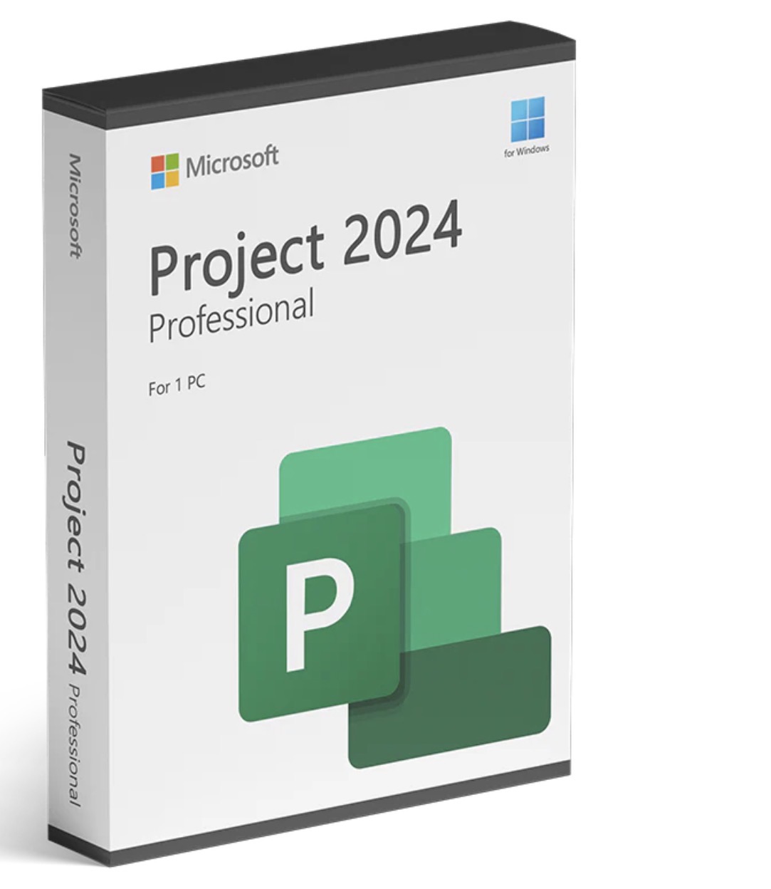 Project Professional 2024
